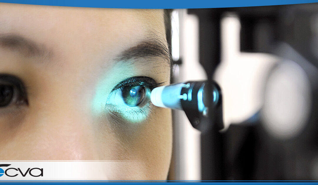 a close up of a female having her eyes examined