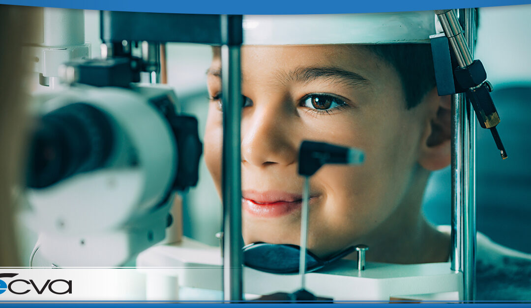 a male child getting an eye exam